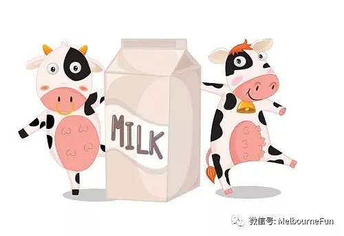 澳洲牛奶究竟哪家强？这是一篇教你如何买牛奶的指南 - 1