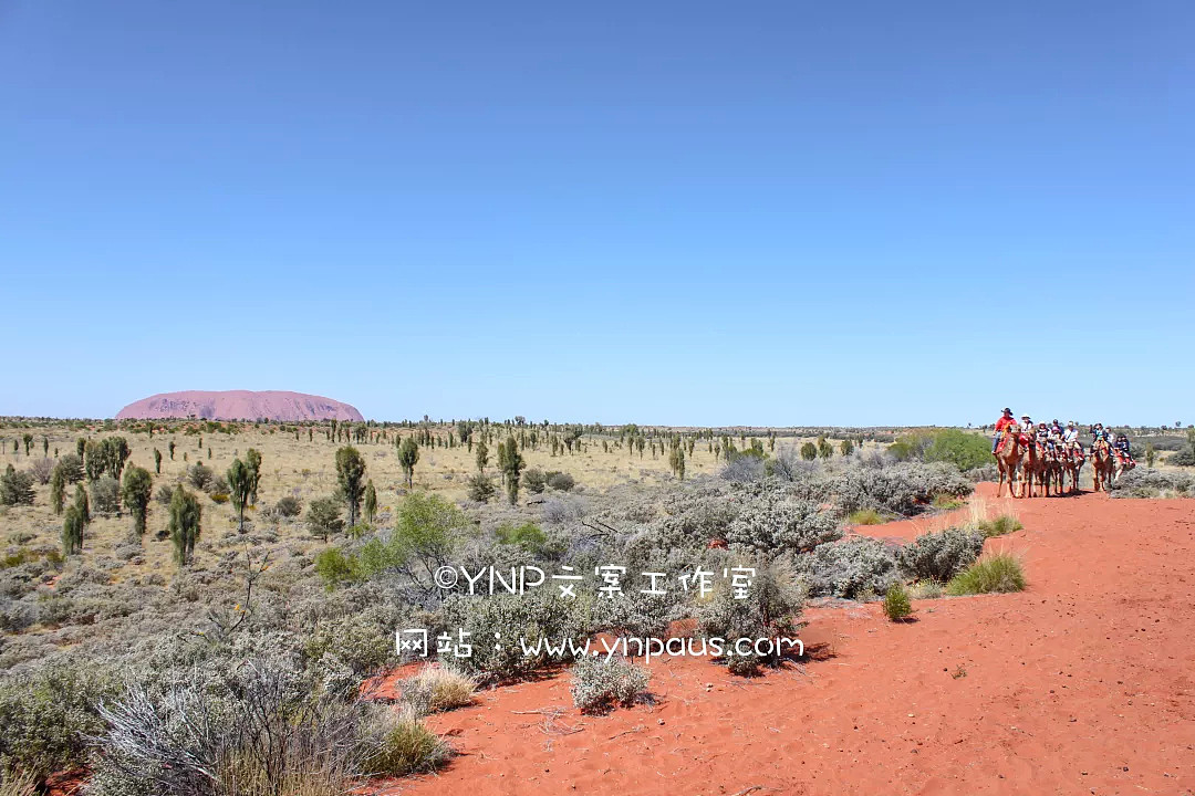 小长假去哪玩？||古老神秘的澳洲红心脏Uluru超贴心旅游攻略～ - 19