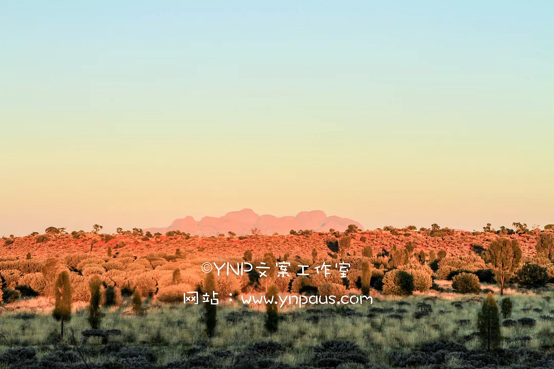 小长假去哪玩？||古老神秘的澳洲红心脏Uluru超贴心旅游攻略～ - 23