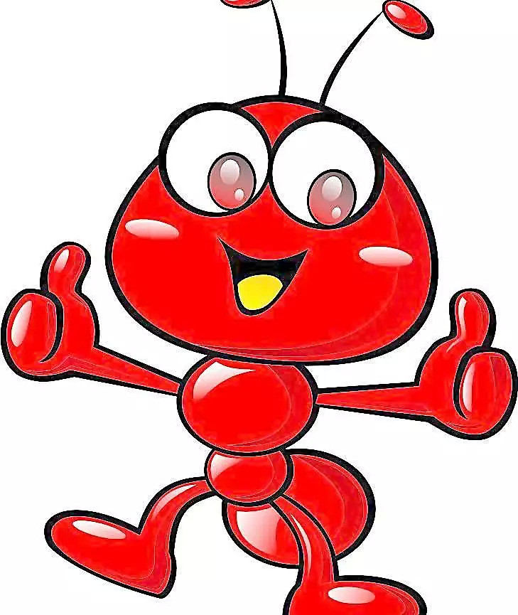 澳洲拨款$2750万杀蚂蚁！被咬或致命！全球入侵最严重的物种 - 1