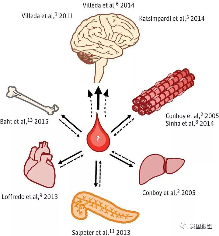 有钱人最新续命大法：输小鲜肉的血返老还童…（组图） - 7