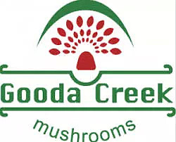 绿色有机蘑菇，鲜味看得见 | 澳洲首都堪培拉的Gooda Creek农场蘑菇进入悉尼通利连锁超市啦！ - 5