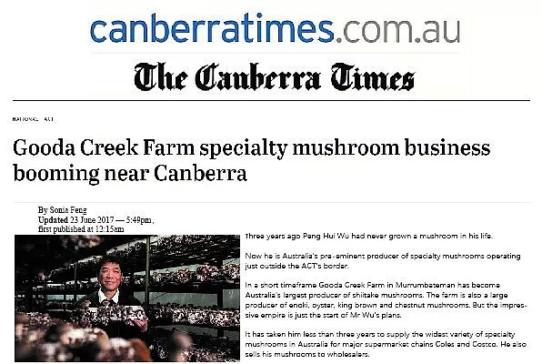 绿色有机蘑菇，鲜味看得见 | 澳洲首都堪培拉的Gooda Creek农场蘑菇进入悉尼通利连锁超市啦！ - 9