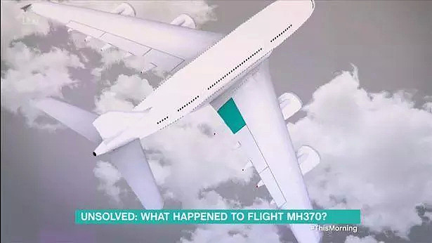 英公司称曾追踪MH370长达7小时，知晓其坠毁位置（图） - 3