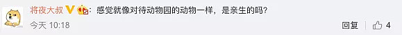 惹怒近6亿人！中国3岁女童模遭母亲暴力踢打，1天拍100件，年入50万！而这仅是童模圈的冰山一角... - 26