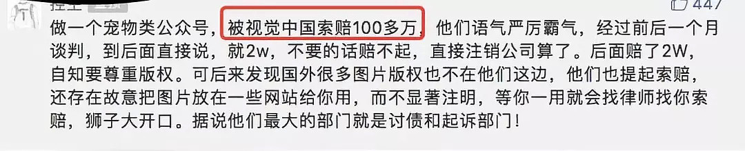 “世界属于视觉中国” 敢卖国旗国徽的视觉中国官网打不开了…（视频/组图） - 24