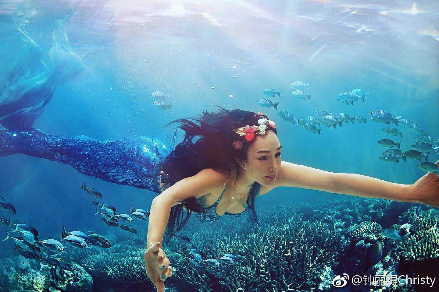 钟丽缇张伦硕拍水下童话写真！网友：除了胸都是P的（组图） - 2