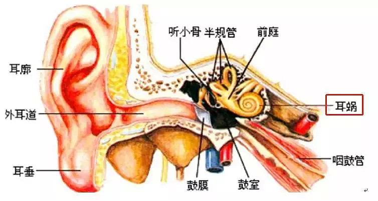 本届沙雕网友也太优秀了吧哈哈哈哈哈哈！（组图） - 29