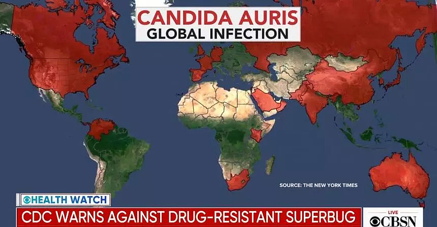 超级真菌肆虐全球！18名中国人感染，美国列为“紧急威胁”，人类或将重回无药可救的黑暗时期...（组图） - 10