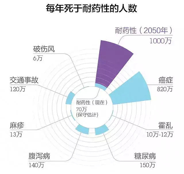 超级真菌肆虐全球！18名中国人感染，美国列为“紧急威胁”，人类或将重回无药可救的黑暗时期...（组图） - 30