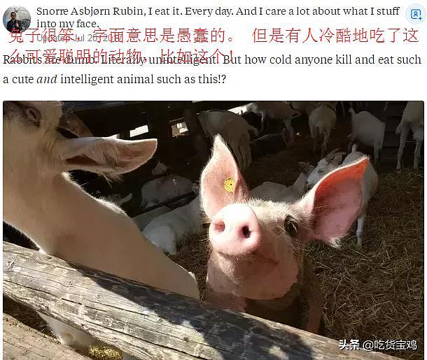 美版知乎提问“为什么中国人吃兔子？”外国网友回答很解气