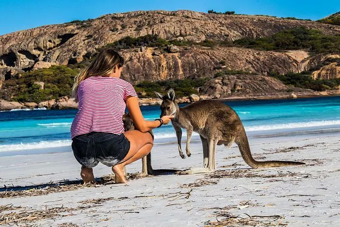 罚款1000刀！只因为游客给袋鼠喂食自拍！在澳洲，这些动物千万不能随便喂 - 11