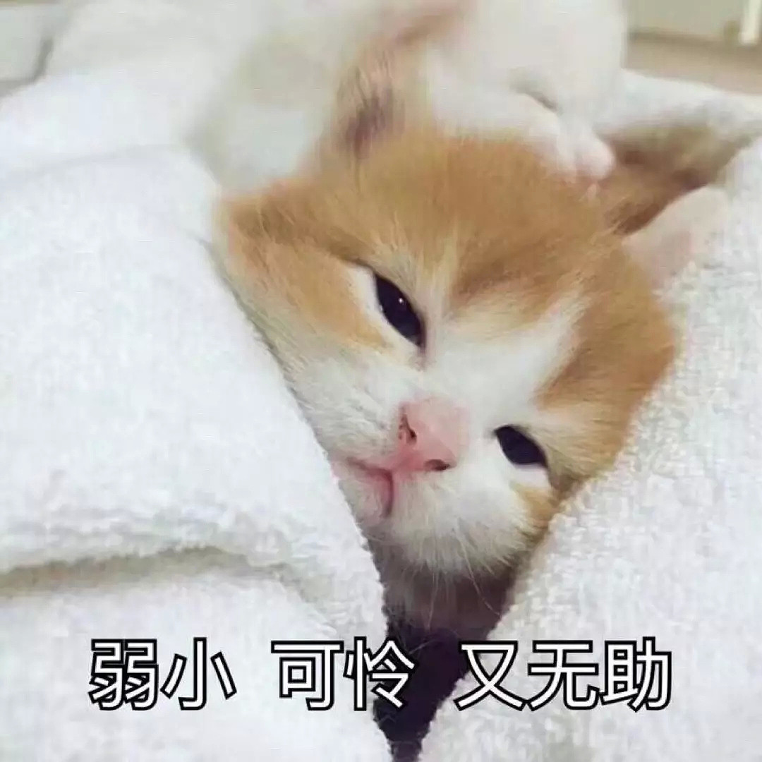 再添猛料！同房7小时！大学就发X照还夸张丹峰技术好！被赶出家门的洪欣太惨了 - 42