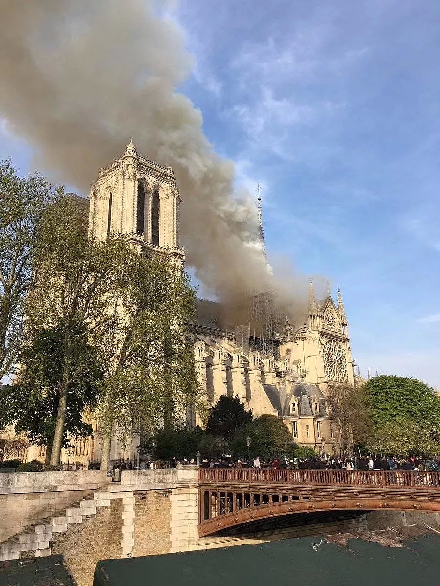 突发！巴黎圣母院大火！800年古迹被焚毁，全人类最伤心的一天…（视频/组图） - 30