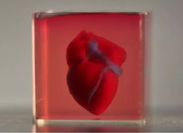 全球首例3D打印完整心脏问世，“心病”有救了?（组图） - 5