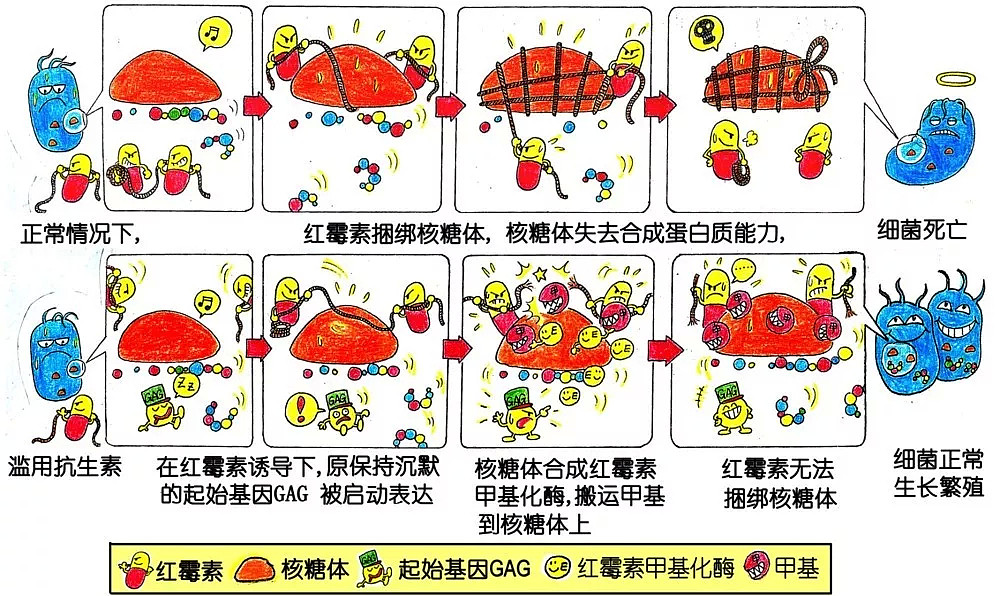 它在伊拉克战场肆虐，30年后或杀死1000万人（视频/组图） - 18