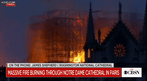 巴黎圣母院起火原因或为电线短路！民众跪地哭泣，久久不肯离去（视频/组图） - 5
