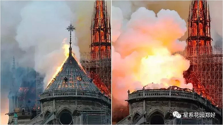 巴黎圣母院发生离奇大火，主流媒体竭力掩盖的惊天真相！（组图） - 4