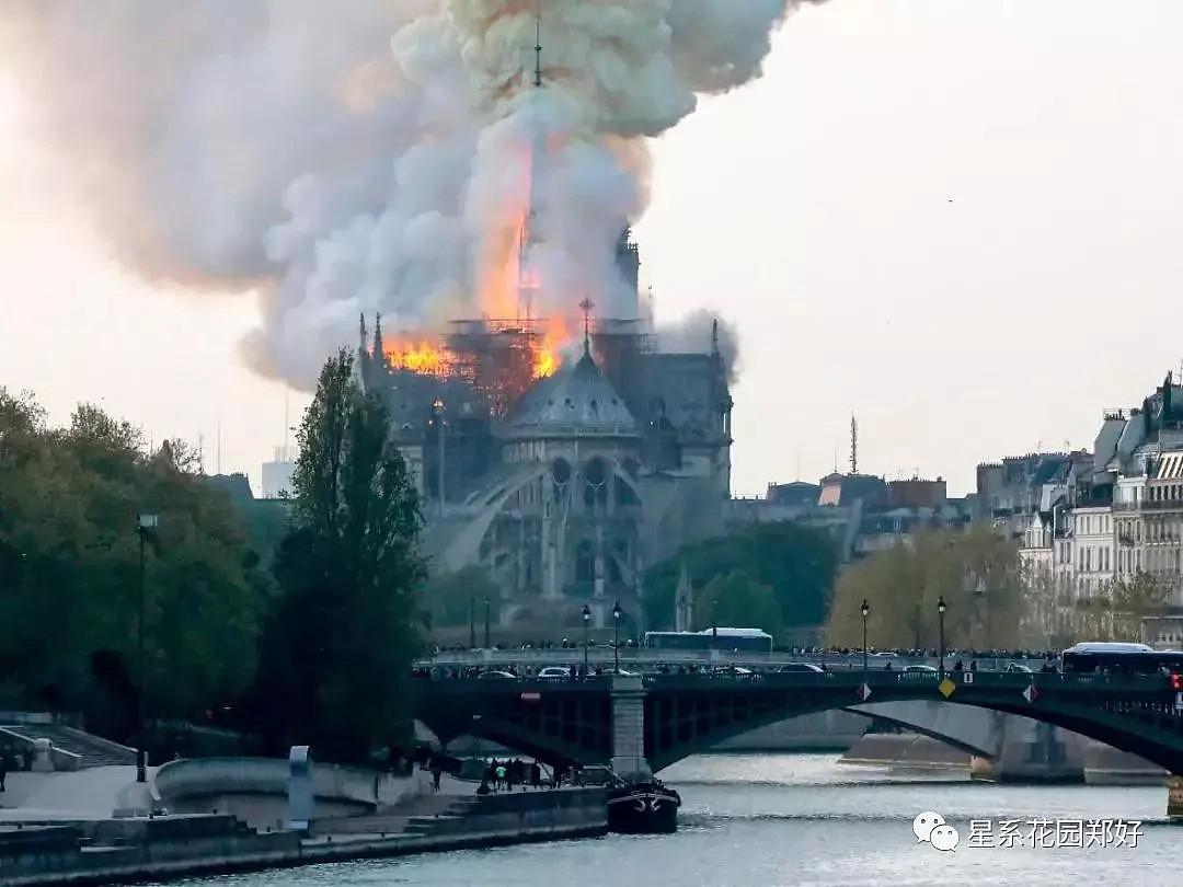 巴黎圣母院发生离奇大火，主流媒体竭力掩盖的惊天真相！（组图） - 5