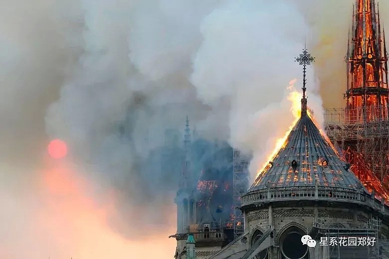 巴黎圣母院发生离奇大火，主流媒体竭力掩盖的惊天真相！（组图） - 6