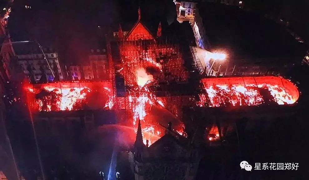 巴黎圣母院发生离奇大火，主流媒体竭力掩盖的惊天真相！（组图） - 7