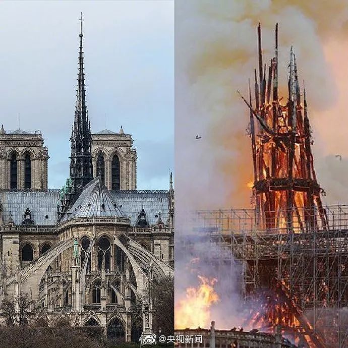 巴黎圣母院发生大火，骗子们终于也按捺不住了（组图） - 7