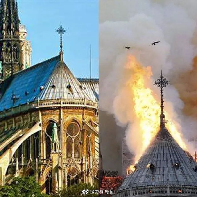 巴黎圣母院发生大火，骗子们终于也按捺不住了（组图） - 8