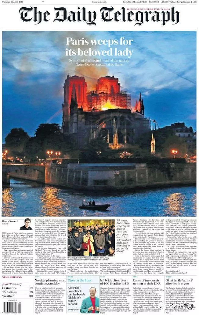 全球媒体都在为巴黎圣母院哭泣，我的朋友圈却乐开了花（组图） - 12