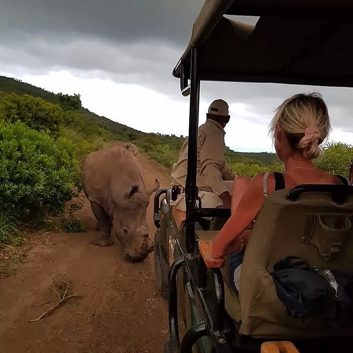 动物比人更懂爱！他从枪口救下7头大象，如今21头大象为他送葬！（视频/组图） - 29