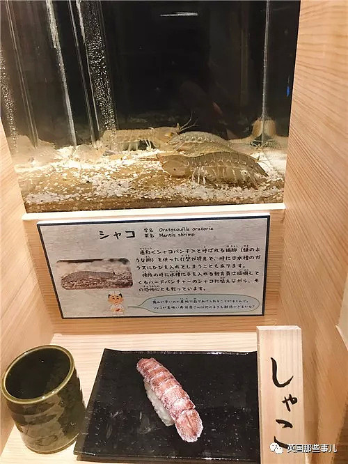水族馆在活鱼虾蟹旁边摆起同款寿司…这是什么寓教于饿的骚操作？（组图） - 6