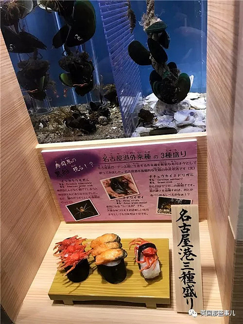 水族馆在活鱼虾蟹旁边摆起同款寿司…这是什么寓教于饿的骚操作？（组图） - 8