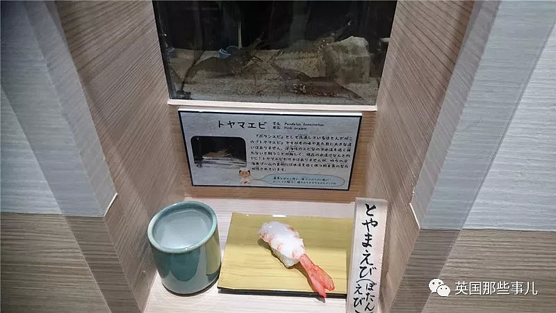 水族馆在活鱼虾蟹旁边摆起同款寿司…这是什么寓教于饿的骚操作？（组图） - 9