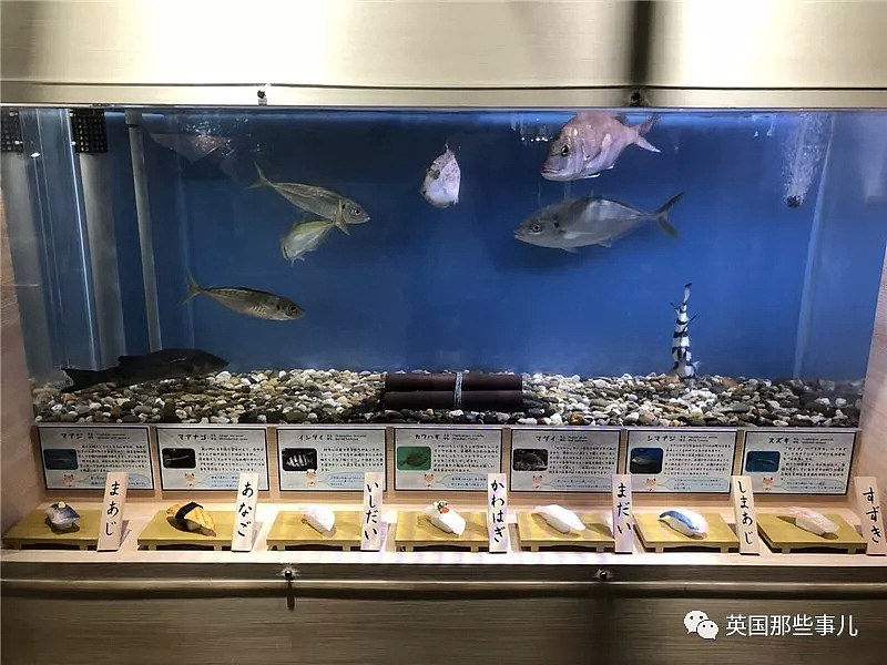 水族馆在活鱼虾蟹旁边摆起同款寿司…这是什么寓教于饿的骚操作？（组图） - 18