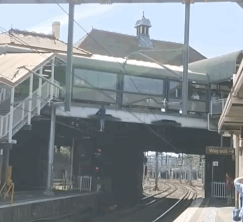 突发！悉尼城铁车站惊现“蜘蛛侠”，男子爬上电缆致使列车停运！（视频/图） - 8