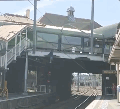 突发！Redfern火车站惊现“蜘蛛侠”，男子爬上电缆致使列车停运！（视频/图） - 10