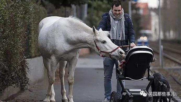 一匹白马在街头翩然行走…背后是一篇爱情故事（组图） - 6