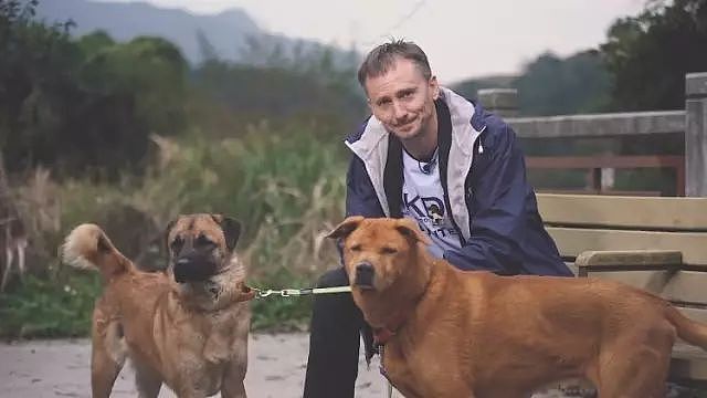 这个澳洲“富二代”，当过张国荣司机，教过周润发英语，还救了很多中华田园犬（组图） - 8