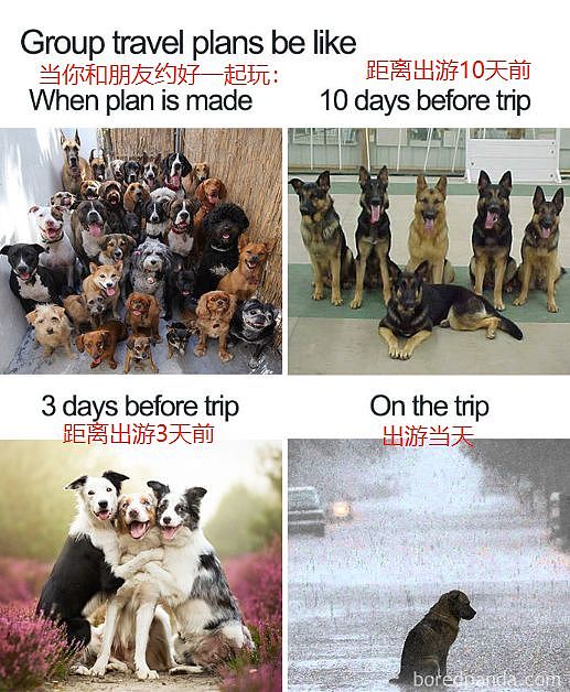 想象的旅行VS真实的旅行，留学生哭晕在爬满蟑螂的酒店里（组图） - 8