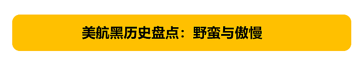 6名华人被强制要求下机，美航究竟是谨慎还是傲慢？（组图） - 11