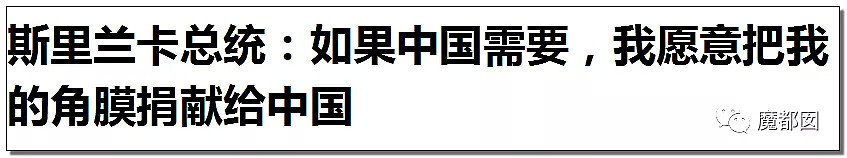 8炸290人，惨绝！你不知道变成炼狱的斯里兰卡有多善良！（组图） - 16