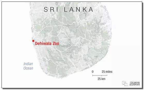 8炸290人，惨绝！你不知道变成炼狱的斯里兰卡有多善良！（组图） - 26