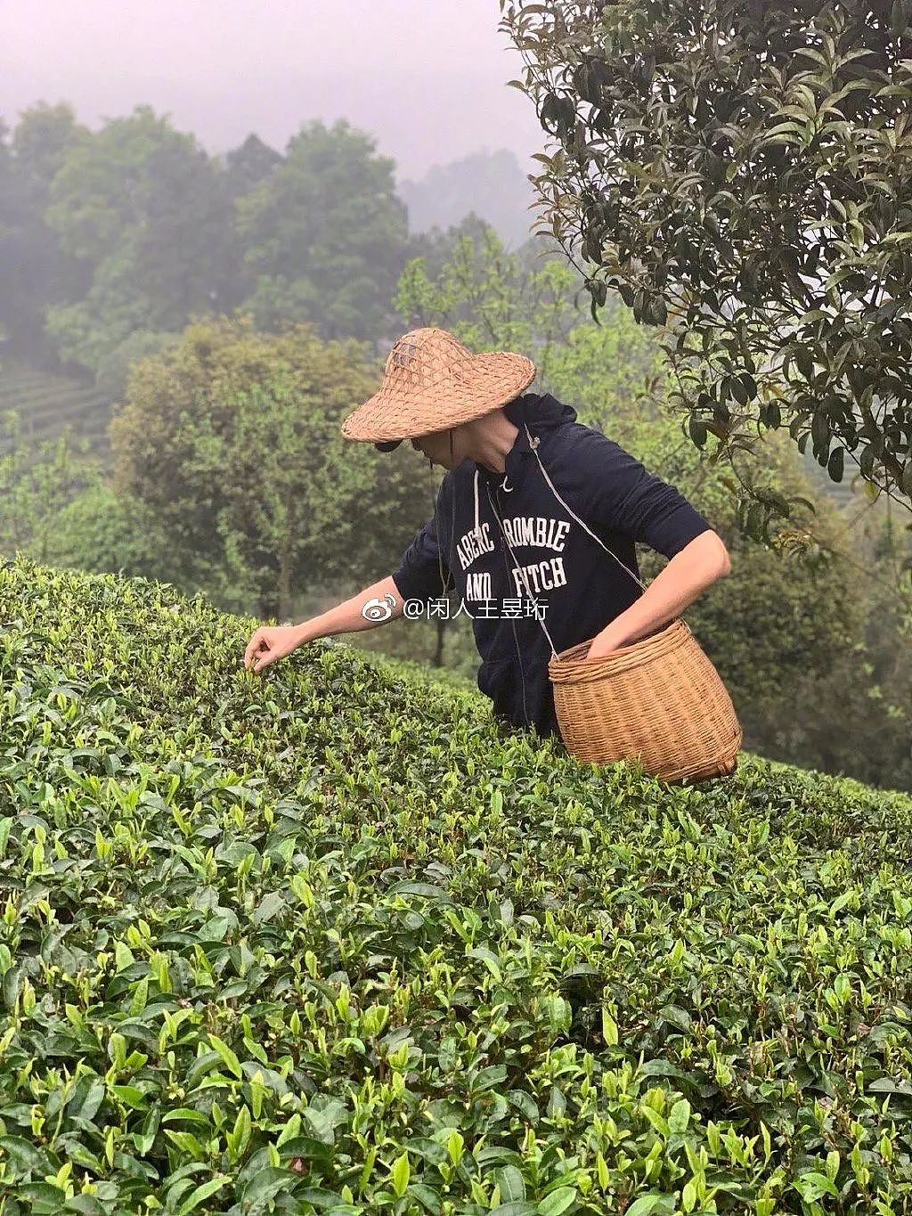 清华毕业不工作，养个孩子不读书：他被网友封神，却只想当女儿奴（视频/组图） - 39