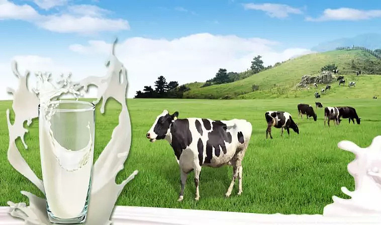 牛奶产量急剧下滑 专家警告澳洲或变为乳品进口国 - 1