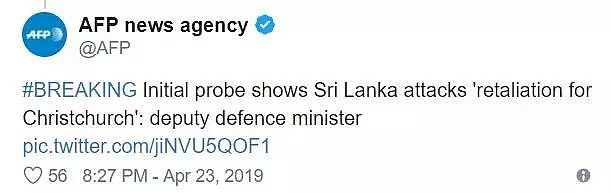 ISIS连发3个声明宣布对斯里兰卡爆炸负责！新西兰政府已进行回应！（组图） - 14