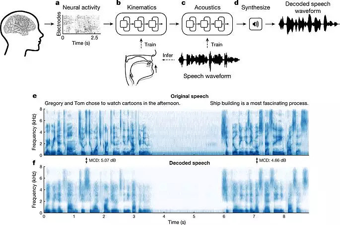 Nature重磅：华裔科学家成功解码脑电波，AI直接从大脑中合成语音