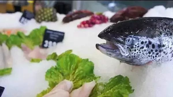 澳洲鱼市上鱼类品种繁多，究竟怎么吃？很多华人一头雾水…（视频） - 2