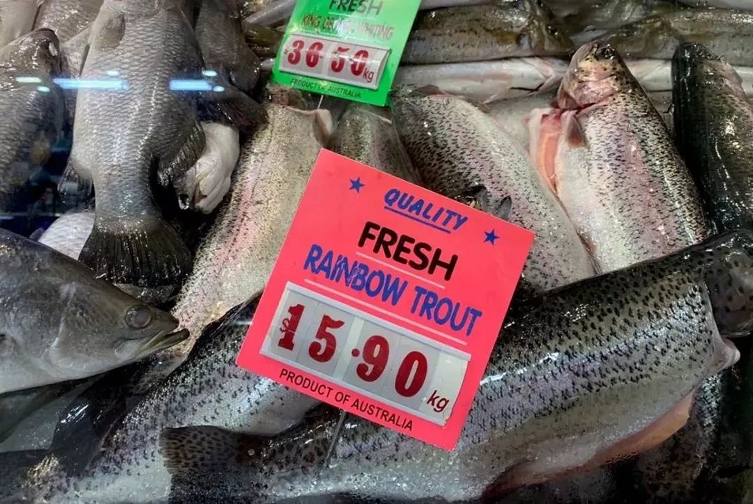 澳洲鱼市上鱼类品种繁多，究竟怎么吃？很多华人一头雾水…（视频） - 14