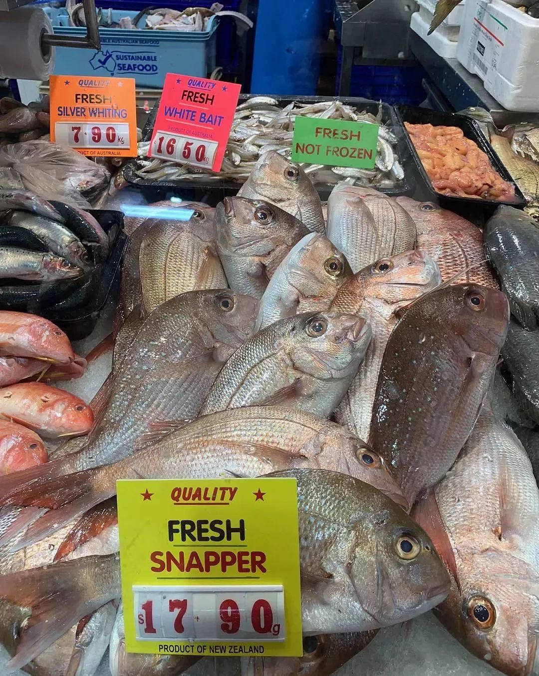 澳洲鱼市上鱼类品种繁多，究竟怎么吃？很多华人一头雾水…（视频） - 17