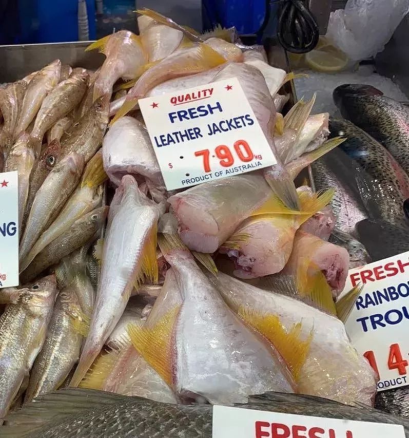 澳洲鱼市上鱼类品种繁多，究竟怎么吃？很多华人一头雾水…（视频） - 19