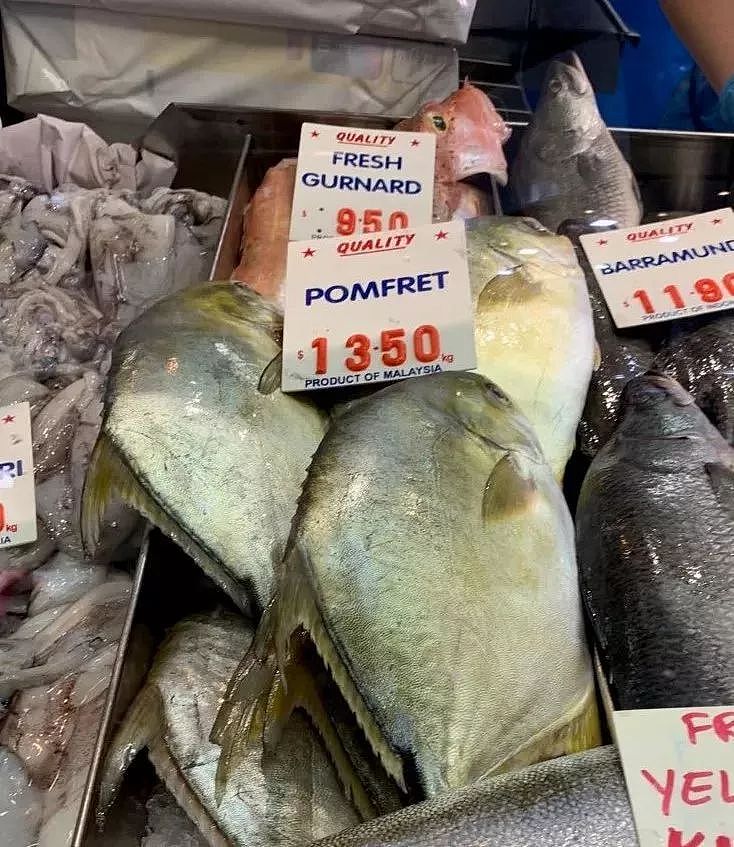澳洲鱼市上鱼类品种繁多，究竟怎么吃？很多华人一头雾水…（视频） - 23